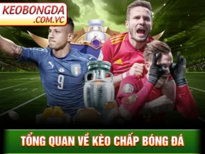 Kèo Chấp Bóng Đá - Hiểu Đúng Để Đánh Kèo Dễ Thắng Lớn